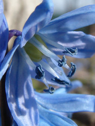 Similar image 204015