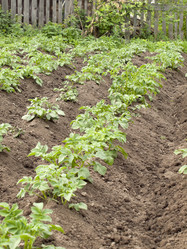 Similar image 204016