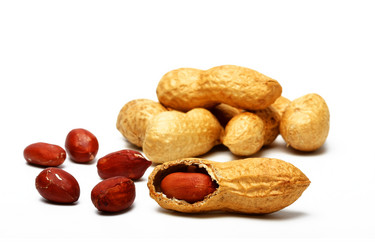 Similar image 204024