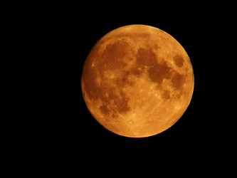 Similar image 204031