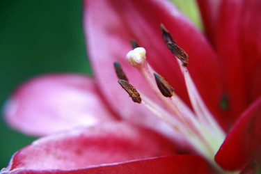 Similar image 204048