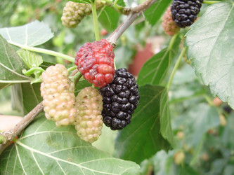 Similar image 204050