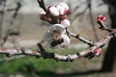 Similar image 204054