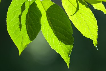 Similar image 204058