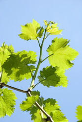 Similar image 204062