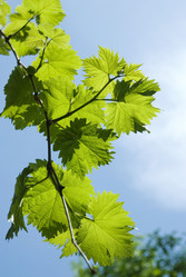 Similar image 204063