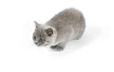 Similar image 204078