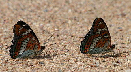 Similar image 204093