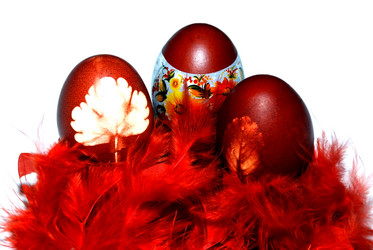 Similar image 204100