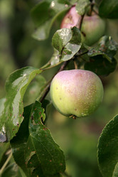 Similar image 204119