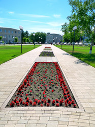 Similar image 204127