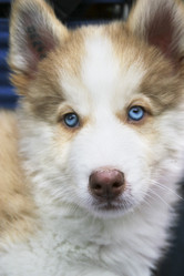 Similar image 204150