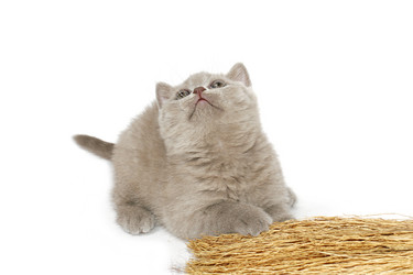 Similar image 204183