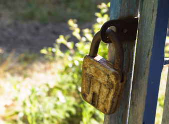 Similar image 204193