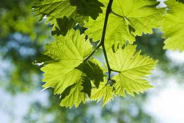 Similar image 204207