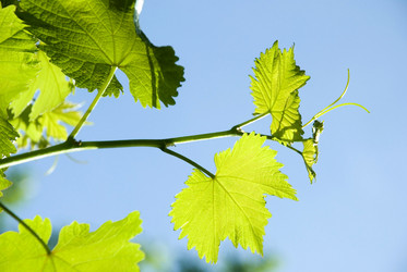 Similar image 204208