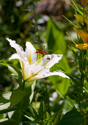 Similar image 204221