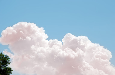 Similar image 204234