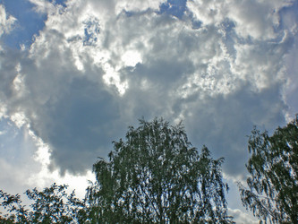 Similar image 204255