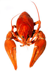 Similar image 204256