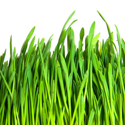 Similar image 204281