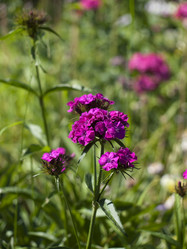 Similar image 204285