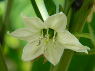 Similar image 204286