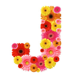 Similar image 204295