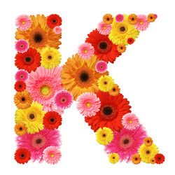 Similar image 204297