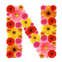 Similar image 204300