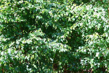 Similar image 204315