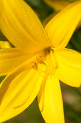 Similar image 204323