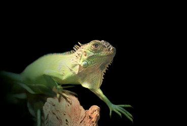 Similar image 204335