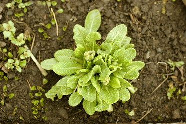 Similar image 204341