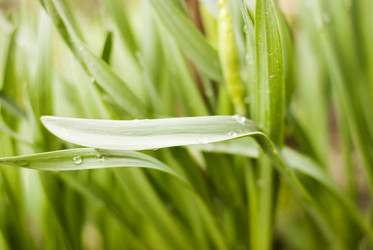 Similar image 204344