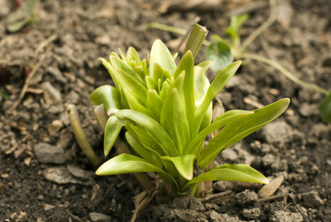 Similar image 204345