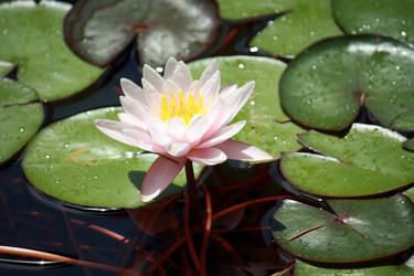 Similar image 204347