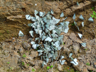 Similar image 204348