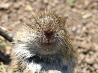 Similar image 204354