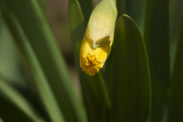 Similar image 204363