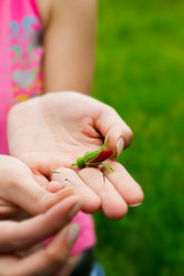 Similar image 204373