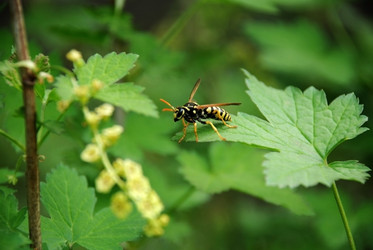 Similar image 204375