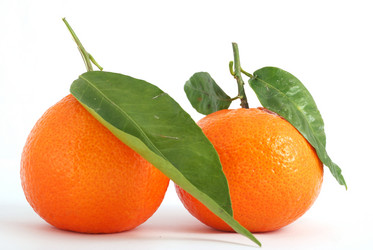 Similar image 204381