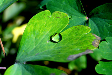 Similar image 204382