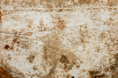 Similar image 204411