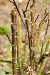 Similar image 204412