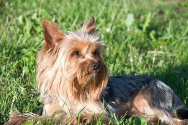 Similar image 204444