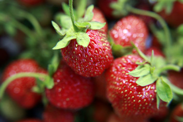 Similar image 204465