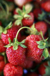 Similar image 204466