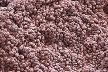 Similar image 204478